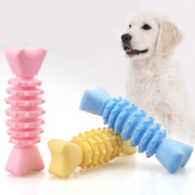 Funny Bone Ball for pet