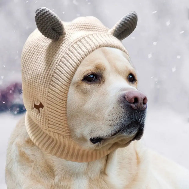 Winter Warmth & Noise Relief: Knitted Hat for Cats Dogs