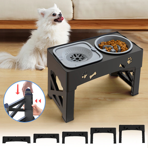 3 In 1 Pet Feeder Double Bowls