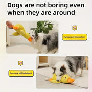Durable Plush Squeaky Dog Toy