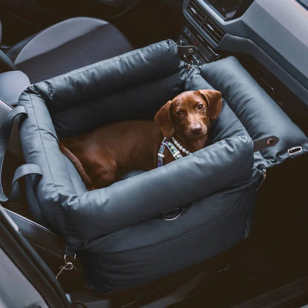 Pawsitively Safe: Plush Car Bed for Dogs