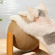2 In 1 Cat Scratcher Mat and Ball