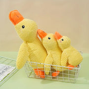 Durable Plush Squeaky Dog Toy