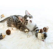 Interactive Cat Chirping Bird Toy
