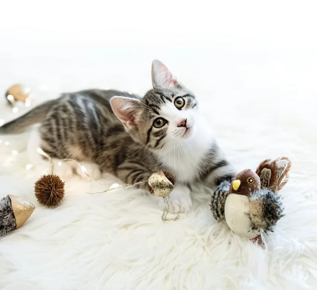 Interactive Cat Chirping Bird Toy