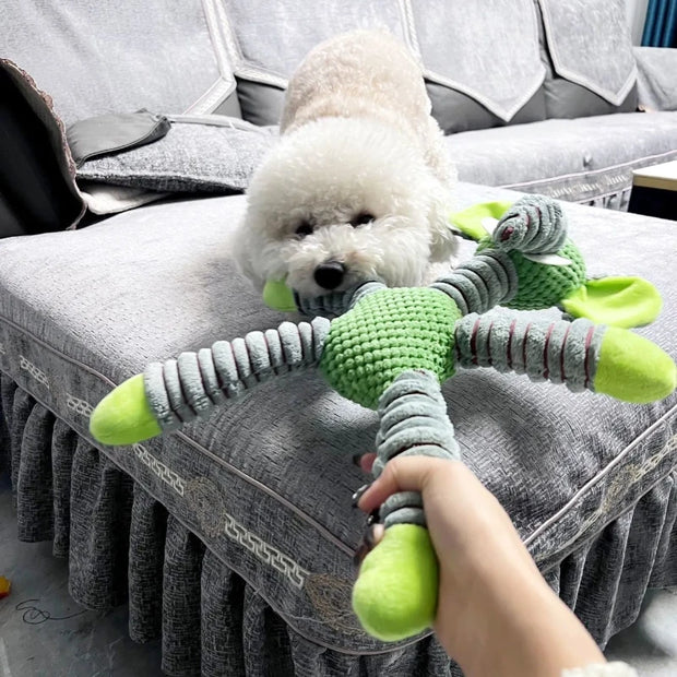 Animal Shaped Squeaky Dental Dog Toy