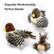 Interactive Cat Chirping Bird Toy