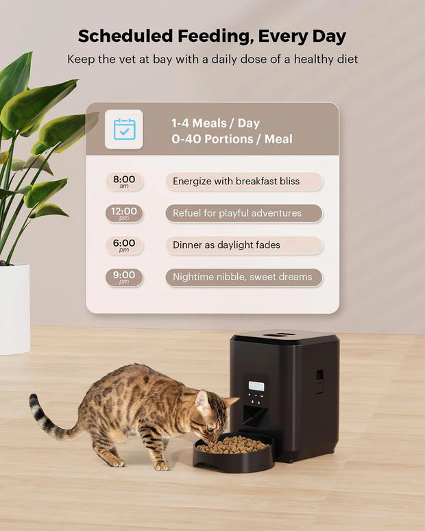 Timed Quantitative Automatic Cat Food Dispenser