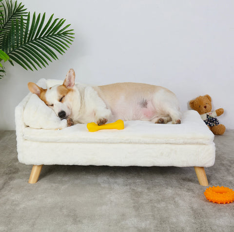 Pawfect Retreat: Plush Couch for Pets