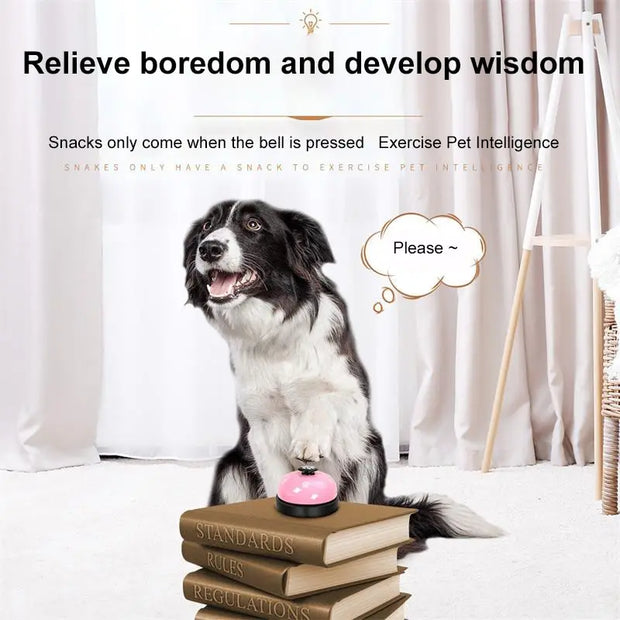 Teddy Puppy Pet Toys