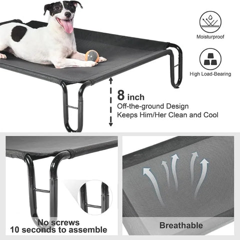 Large Elevated Outdoor Dog Bed