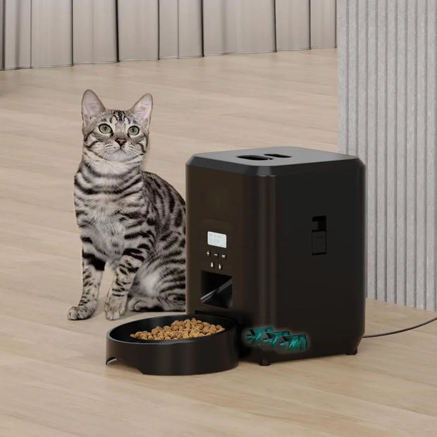 Timed Quantitative Automatic Cat Food Dispenser