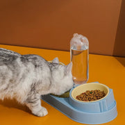 Pet Cat Bowl Automatic Feeder