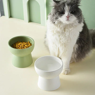 Elevated Ceramic Pet Food/Water Bowls