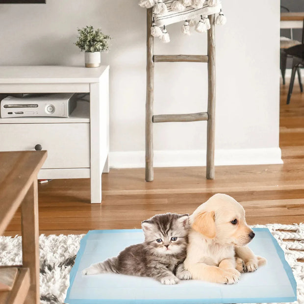 Disposable: Pet Potty Training Cushions