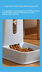 Auto Food Feeder
