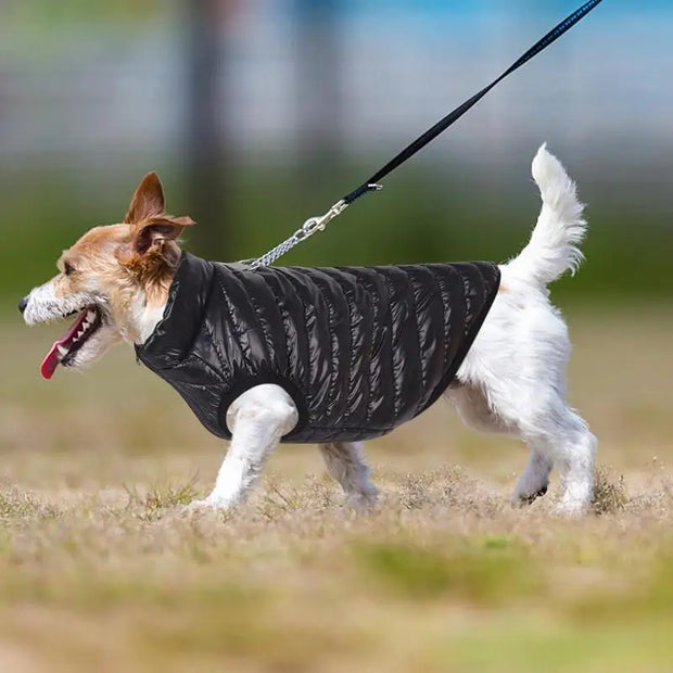 Soft Fleece Vest With Leash Ring