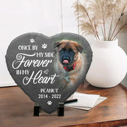 Personalized Pet Memorial Plaque's