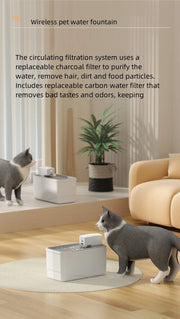 Intelligent Wireless Water Dispenser