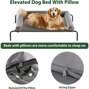 Sturdy Elevated Dog Bed with Breathable Mesh