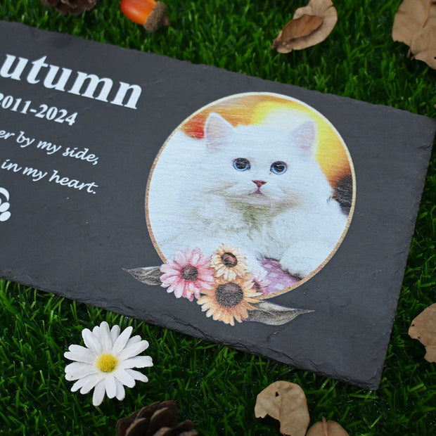 Unique Pet Memorial Stone Plaque