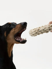 Durable Dog Rope Toy