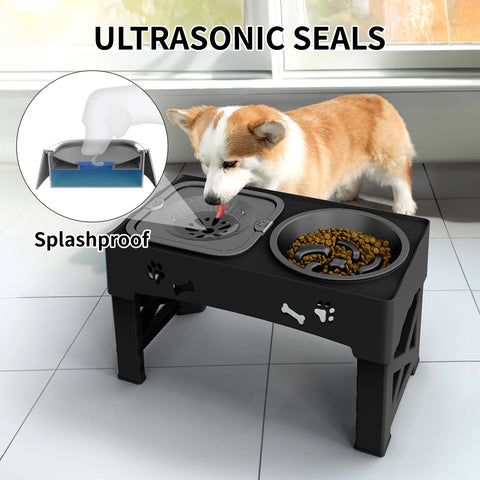 Double Bowl Pet Feeder with 5 Adjustable Heights