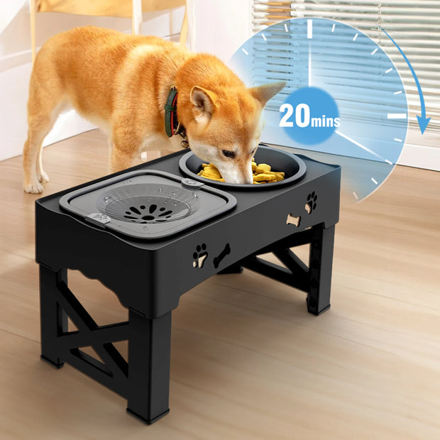 Double Bowl Pet Feeder with 5 Adjustable Heights