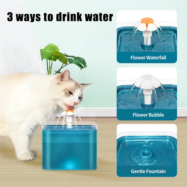 Pet Water Dispenser with LED Lighting