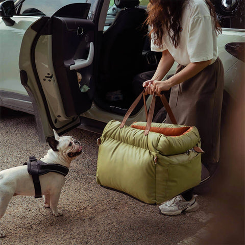 Pawsitively Safe: Plush Car Bed for Dogs