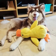 Durable Plush Squeaky Dog Toy