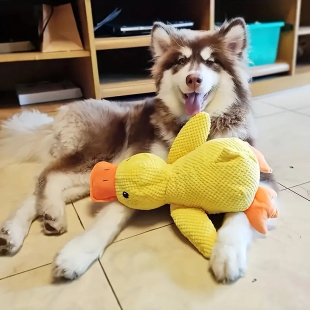 Durable Plush Squeaky Dog Toy