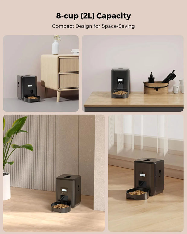 Timed Quantitative Automatic Cat Food Dispenser