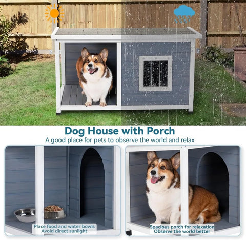 Dog House with Porch and Window
