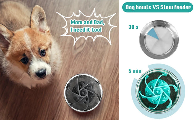 Suction Cup Anti Choking Bowl