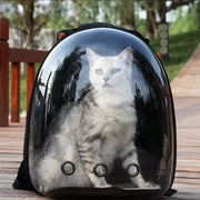 Intergalactic Pet Travel: Breathable  Cat Carrier Space Capsule