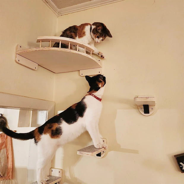 Cat Sisal Scratching Climbing Wall Mounted Shelves