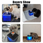 Pet Water Dispenser with LED Lighting