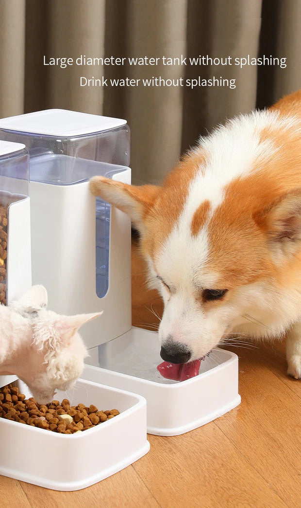 Auto Food Feeder
