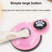 Teddy Puppy Pet Toys