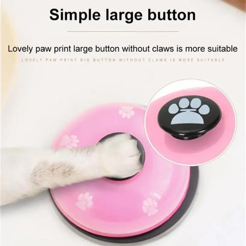 Teddy Puppy Pet Toys