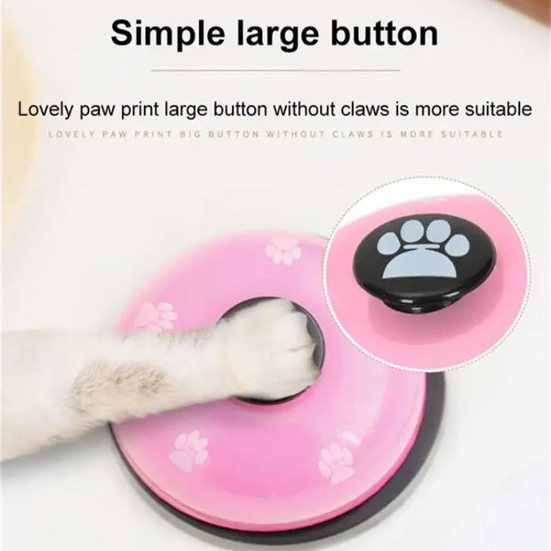 Teddy Puppy Pet Toys