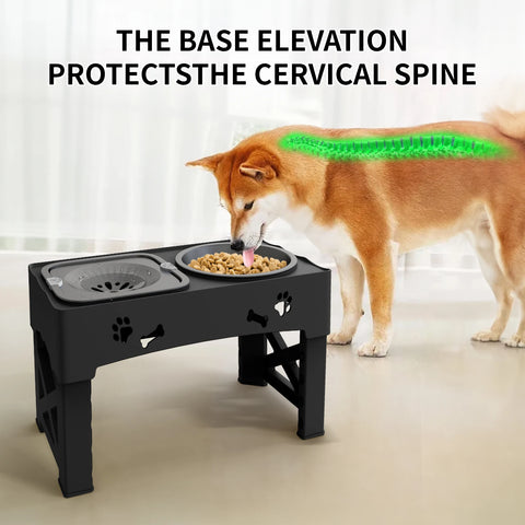 Double Bowl Pet Feeder with 5 Adjustable Heights