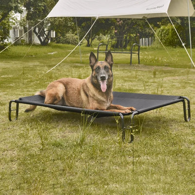 Large Elevated Outdoor Dog Bed