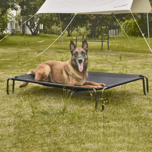 Large Elevated Outdoor Dog Bed