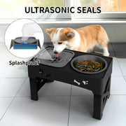 3 In 1 Pet Feeder Double Bowls