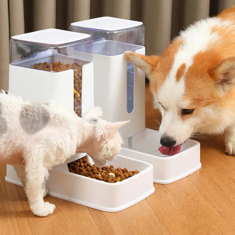 Auto Food Feeder