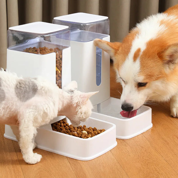 Auto Food Feeder