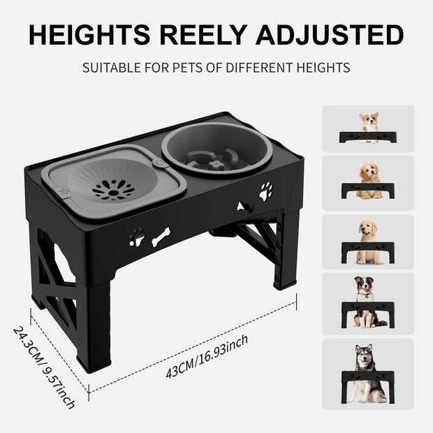 3 In 1 Pet Feeder Double Bowls